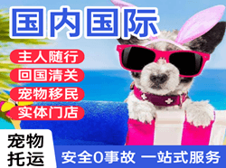 南昌航空物流国际宠物托运 【国